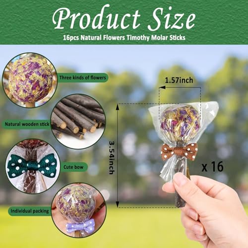 kathson 16PCS Rabbit Timothy Hay Treats Sticks,Interactive Bunny Lollipop Chew Sticks,Natural Guinea Pigs Chewing Treats Molar Teeth Toys for Small Animals,Chinchilla,Hamster,Gerbil - color: 16