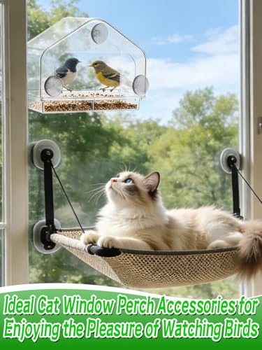 MEWTOGO Outdoor Window Bird Feeder for Cats Viewing, Large - size: Large