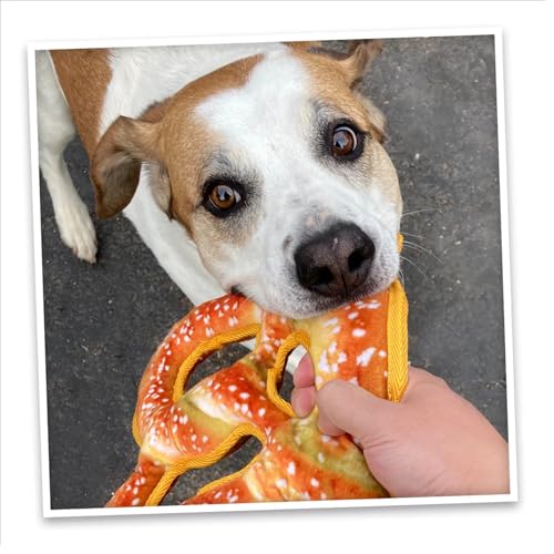 Doggijuana Twisted Pretzel & Pretzel Ring Dog Toy Bundle | 2 Pack, Squeaky - style: Twisted Pretzel & Pretzel Ring