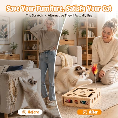 Cat Toys for Indoor Cats - Interactive Box Puzzle Toy Nail File Scratcher