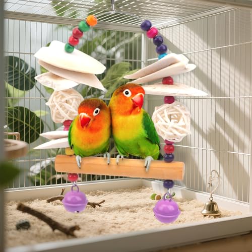 Parrot Cuttlebone Swing Toy – 2-in-1 Hanging Perch with Natural Wood Slices, Rattan Balls & Colorful Beads – Calcium-Rich Chewing Station for Cockatiels, Budgies, Parakeets