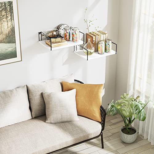 SRIWATANA Deep Floating Shelves for Wall 16''W x 12''D, Wide Shelves White - color: White