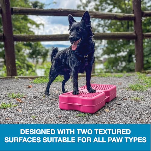 Blue-9 Propel Dog Training Platform Kit, Balance, Stability, Pink, 2-Pack - color: Pink