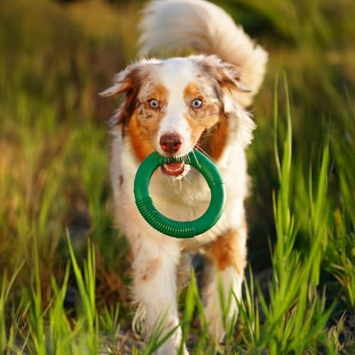 Green Sheep Natural Rubber Ring Dog Chew Toy, Durable Chew Toys for Small to Large Dogs, Tough Dog Toys for Medium & Big Dogs, Puppy Teething Toys - color: Green Ring