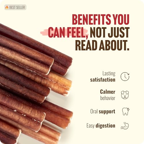 Natural Farm Odor-Free Bully Sticks (4-8”, 16oz) ALL-NATURAL Long-Lasting Chews, 100% Beef Pizzle, Grass-Fed, Grain-Free, Hormone-Free, Protein for Muscle Development & Energy, Perfect For Medium Dogs - size: 4-8" Standard - 16 Ounce