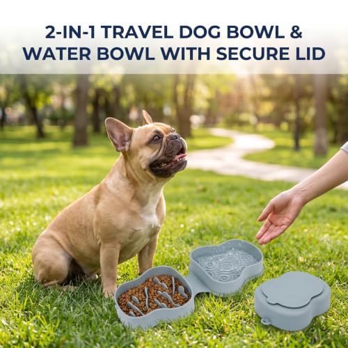 Collapsible Dog Travel Bowl with Lid, Slow Feeder (Bluish) - color: bluish