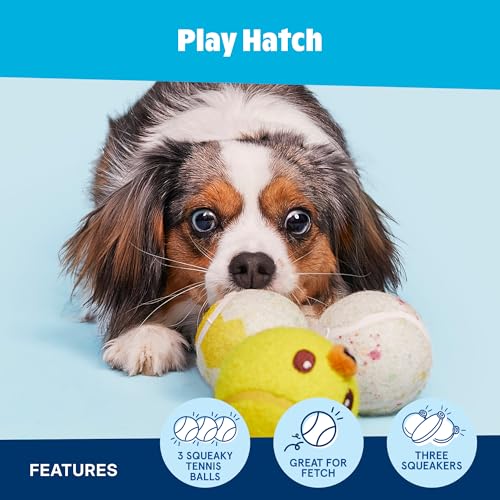 BarkBox Play Hatch Rubber Tennis Balls - for Dogs - color: Play Hatch