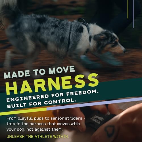 FitPaws® Made to Move® No-Pull Dog Harness, Neck Buckle, Teal, XL - color: Teal, size: XL