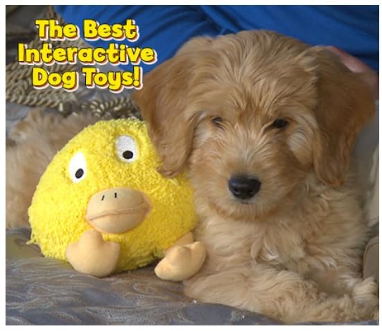 Interactive Dog Toy (Baseball), Motion Activated Bouncing Talking Pet Toy, Exercise and Entertainment for Dogs and Puppies