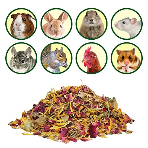 Flower Fusion Treat (1/2 lb) - Healthy Natural Dried Flower Herbivore Treat - Chinchillas, Guinea Pigs, Rabbits, Prairie Dogs, Degus, Hamsters, Rats, Squirrels, Sugar Gliders & Other Small Pets - size: 8 oz.