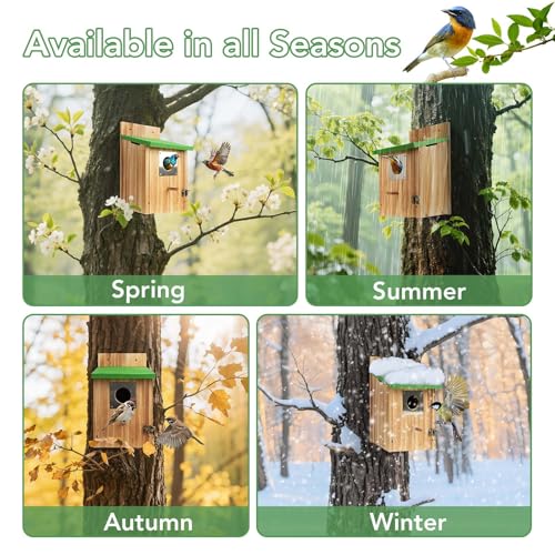 2 Pack Bird Houses for Outside- Cedar Bird House with Metal Predator Guard - color: Green - 2 Pack