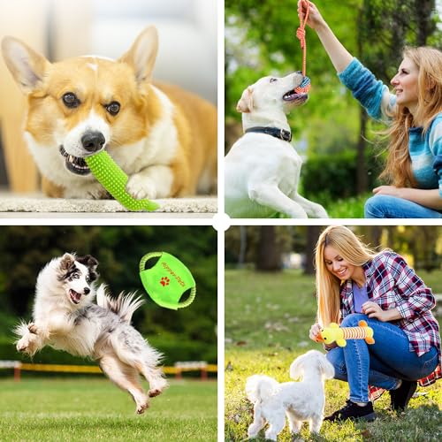 Aipper Dog Toys 25 Pack for Fun and Teeth Cleaning, Puppy Chew Toys Pack with Squeak Plush Toy,Squeaky Toy Balls,Tug of War and Rope Toys for Puppy to Small Dogs