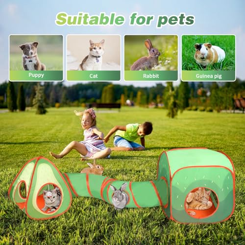 Rypet Cat Toy Tunnel and Cubes Bundle, Play Tubes for Indoor Cats, Green - color: Green