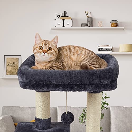 Cute Cat Tree Kitten Cat Tower Condo Cat Furniture Sisal Scratching Posts D - color: Smokygrey