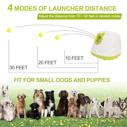 BESTHLS Automatic Dog Ball Launcher Tennis Ball Thrower Machine with 6 Ball - color: White 1
