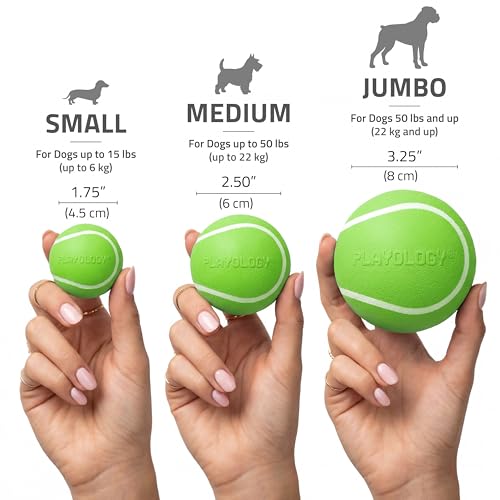 Playology Squeaky Chew Ball Dog Toy - Jumbo, Sweet Potato Scent - size: Jumbo, style: Sweet Potato