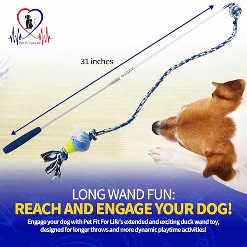 Pet Fit For Life 31" Flirt Pole for Dogs with Plush Duck Squeaky Toy - style: Duck Wand (Attachment Not Interchangeable)