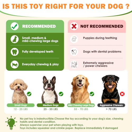 WOWBALA Dog Squeaky Toys Stretchable Crocodile for Interactive Tug of War - color: Green