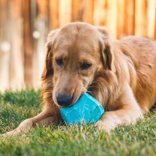 Ruffwear, Gnawt-a-Rock, Interactive Dog Toy, Purple Orchid - color: Purple Orchid