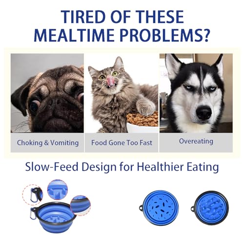Puppy Starter Kit for New Dog Owners, 5-Piece Dog Starter Set with Reflective Leash, Clicker, Whistle, Collapsible Slow Feeder Bowl and Poop Bag Holder, Essentials for Daily Walks and Training