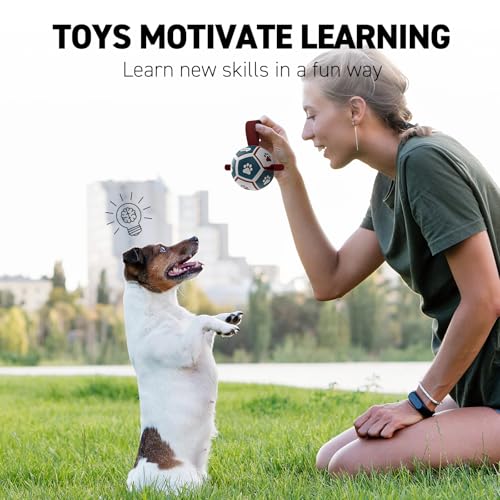 QDAN Small Dog Toys, Puppy Balls, Dog Balls with Straps for Small Breed - color: Red-Blue, size: Extra Small Size 0 (3.5 Inch)