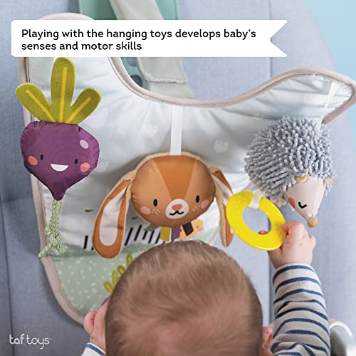 Taf Toys Infant Car Seat Development Center Newborn Baby Essentials Must Haves Toy, Car Seat Accessories Activity Center with Car Seat Mirror, for Newborn Toys 0 3 Months Brain Development - style: Bunny