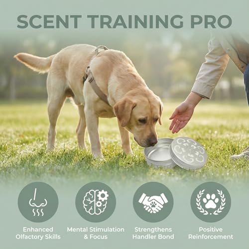 6 Packs Dog Scent Training Kit Nosework Containers for Dogs Aluminum Boxes Nose Skent Work Tins Supplies Canine Odor Ideal and Skill Development