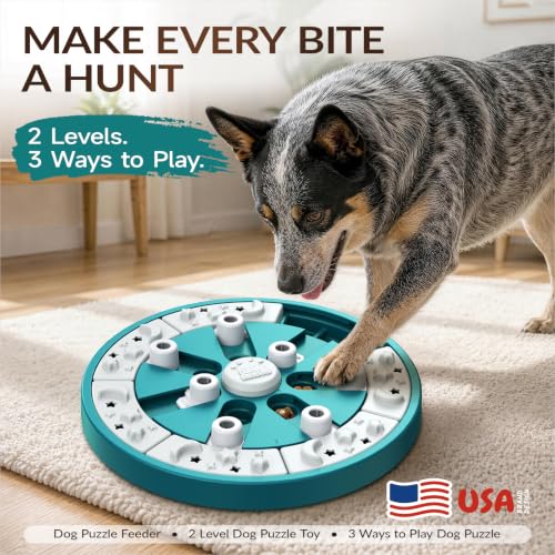 KADTC Large Dog Puzzle Toy, 2 Levels, 3 Games, Slow Feeder & Enrichment Toy - color: Marrs Green