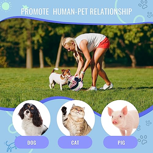 Pet Snuffle Ball, Puzzle Sniffing Interactive Dog Ball for Blind Dogs Training Stress Relief Dog Enrichment Toys Treat Machine Washable (15cm, Classic Pink Blue White) - color: Classic pink blue white, size: 15cm