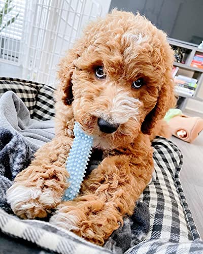 Nylabone Puppy Chew Blue Textured Teething Dog Bone, X-Small - color: Blue, size: X-Small