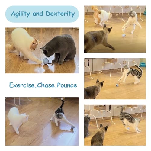Migipaws Interactive Cat Ball Toy Set, Fun Tracker, Automatic Rolling Chase Ball with Fluffy Tail, A Small Mice, Rechargeable (Orange) - color: Orange