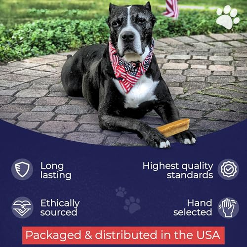 Devil Dog Pet Co Himalayan Yak Chews for XL Dogs, Yak Cheese 3 Pack - style: XL - 3 Pack