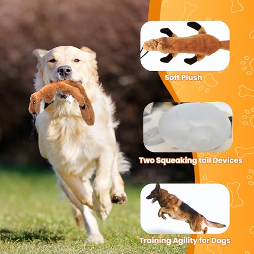 Flirt Pole for Dogs & GPS Wireless Dog Fence for Small Medium Large Dogs Training Playing Exercise