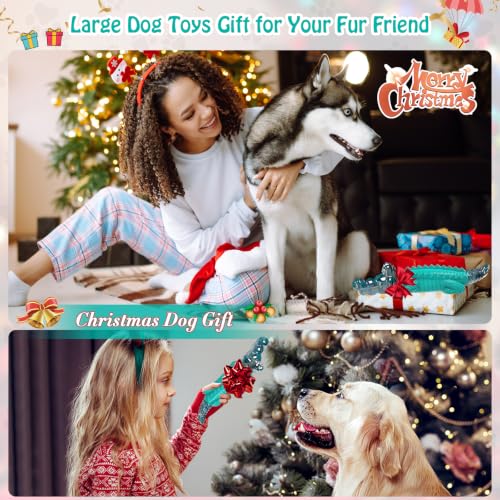 Jeefome Dog Toys for Aggressive Chewers - color: Blue