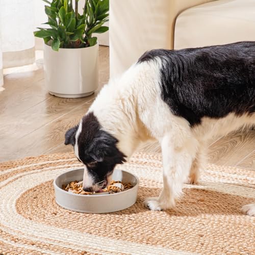 vancasso Slow Feeder Dog Bowls, 3 Cups Ceramic Puzzle Dish for Large Breeds - color: Light Gray, size: L - 3 Cups