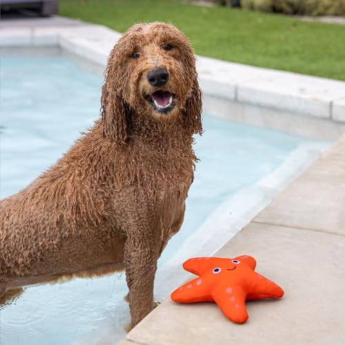 Fringe Studio Shelly Floating Dog Toys, Pet Shop Collection (640004) - color: Shelly
