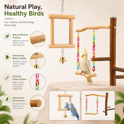 Bird Swing Toys with Perch Stand, Natural Wood Bird Play Stand with Swing and Mirror, Chewable Bird Cage Toy for Budgies Parakeets Cockatiels and Small Parrots