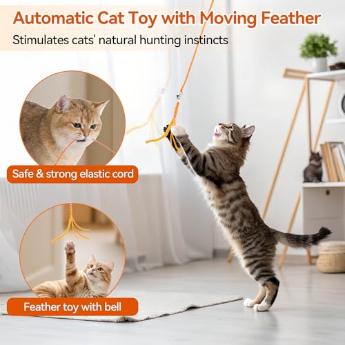 ALL FOR PAWS Interactive Cat Toy for Indoor Cats, Automatic Door Hanging Toy with Moving Feather, USB Rechargeable Cat Toys for Bored Adult Cats & Kittens, Electric Cat Toy for Enrichment & Exercise