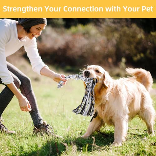 Gingull Outdoor Flirt Pole for Dogs - Interactive Toy Teaser Wand for Dogs Outdoor Chase and Tug of War Heavy Duty Dog Flirt Pole, Durable Pet Toys for Dog, Black
