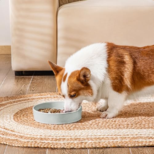 vancasso Slow Feeder Dog Bowl, 1.5 Cup Ceramic Puzzle Dish for Medium Breed - color: Grayish Cyan, size: M - 1.5 Cups