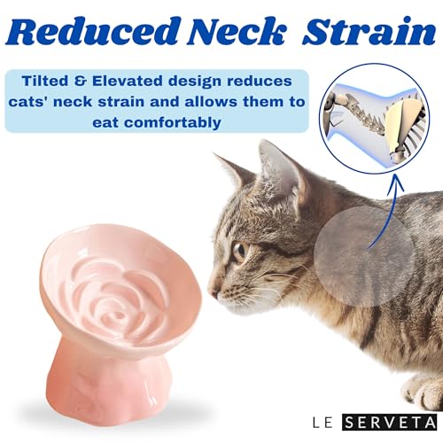 Elevated Ceramic Cat Bowl, Tilted Slow Feeder Pet Dish with Gradient Color Coating, 3.3 Ounces Capacity, Anti-Gulping Design with Rose Bouquet Design (Gradient Pink) - color: Gradient Pink