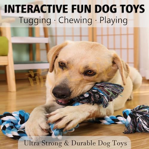 XIGOU Dog Rope Toys for Large Dogs Aggressive Chewers, Dog Chew Toys for Large Breed Indestructible, Heavy Duty Tough 3 Feet 5 Knots Dog Toy, Sturdy Rope toy for Dogs Tug of War Dog Toy Teeth Cleaning - color: Blue