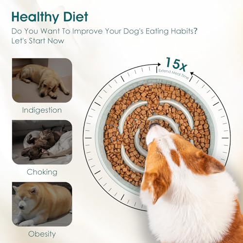 vancasso Slow Feeder Dog Bowl, 1.5 Cup Ceramic Puzzle Dish for Medium Breed - color: Grayish Cyan, size: M - 1.5 Cups