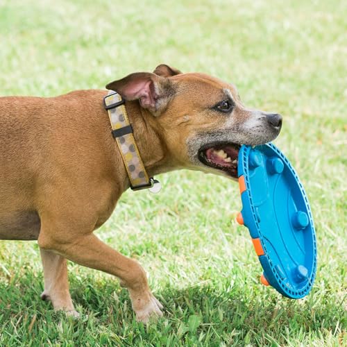 Chuckit! Whistle Flight Fetch Toy, Orange/Blue, for Medium to Large Dogs - size: 10.6"L x 1.2"W x 11.1"H