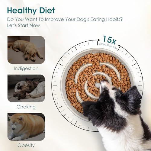 vancasso Slow Feeder Dog Bowls, 3 Cups Ceramic Puzzle Dish for Large Breeds - color: Light Gray, size: L - 3 Cups