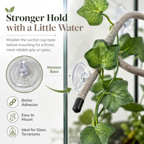 RUNANIA Crested Gecko Tank Accessories, Reptile Hanging Plants Vines with Natural Double Coconut Hideout & Climbing Ladder Decor for Hermit Crab Lizard Leopard Gecko Chameleon Snake Terrarium Decor - size: Large