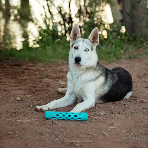 Messy Mutts Totally Pooched Huff n Puff Dog Toys, 3 Piece Set - color: Assorted