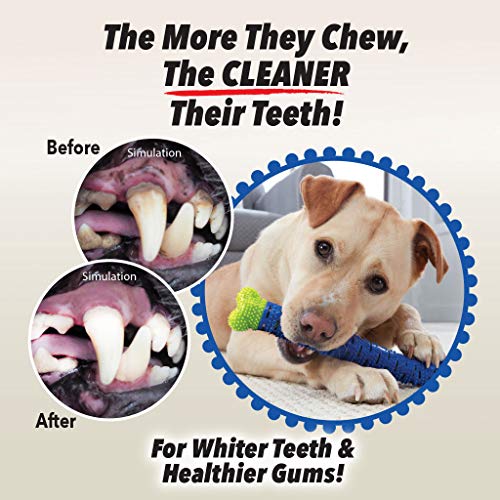 BulbHead Chewbrush Toothbrush and Toy - No Dog Toothpaste Required - Great Teeth Cleaning Toy (3 Pack) - size: 1 Count (Pack of 3)
