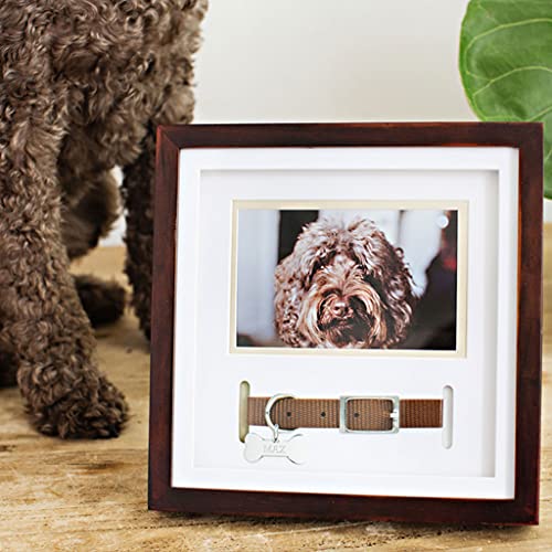 Pearhead Pet Collar Keepsake Picture Frame, Espresso - color: Espresso Collar Frame