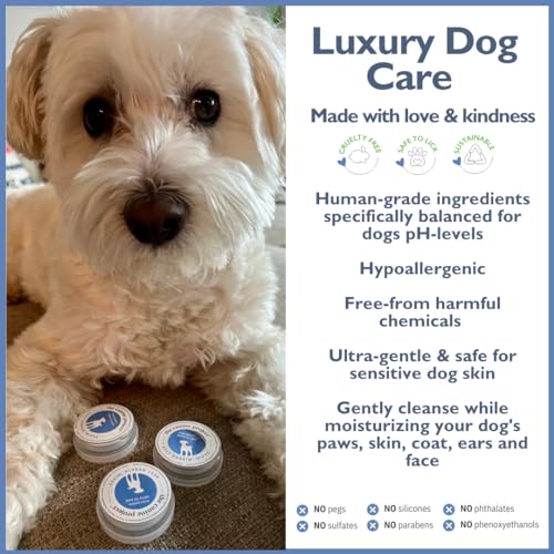 Best BARKIN' Wipes – On-The-Go Individual Micellar Water Dog Wipes - 50Pk - size: 50-Pack